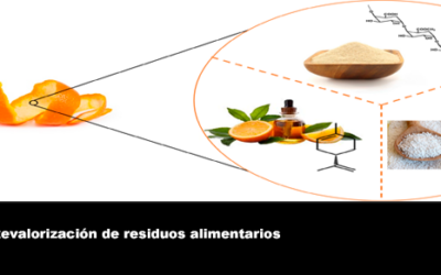 Revalorización de residuos alimentarios
