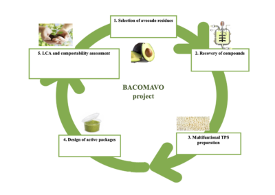 BACOMAVO