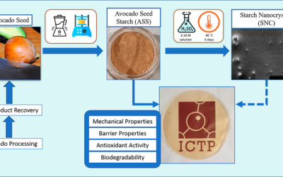 Avocado Seed Starch-Based Films Reinforced with Starch Nanocrystals