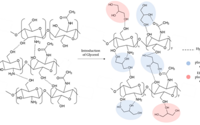 Development of Antioxidant and Antimicrobial Membranes Based on Functionalized and Crosslinked Chitosan for Tissue Regeneration