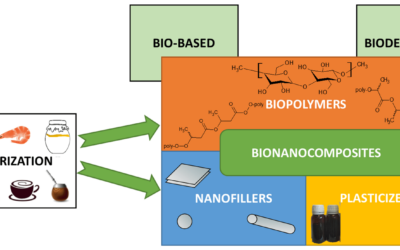 Bio-Based and Biodegradable Polymeric Materials for a Circular Economy